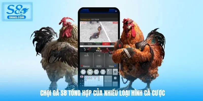 Chọi gà S8 tổng hợp của nhiều loại hình cá cược