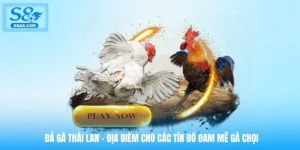 da-ga-thai-lan-dia-diem-cho-cac-tin-do-dam-me-ga-choi