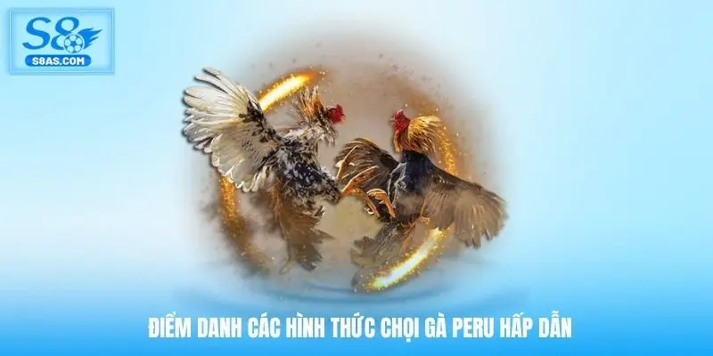 Điểm danh các hình thức chọi gà Peru hấp dẫn