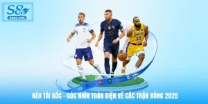 keo-tai-goc-goc-nhin-toan-dien-ve-cac-tran-bong-2025