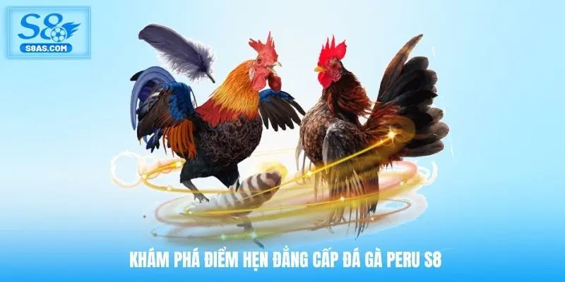 Khám phá điểm hẹn đẳng cấp đá gà Peru S8