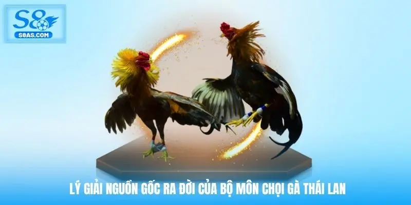 Lý giải nguồn gốc ra đời của bộ môn chọi gà Thái Lan