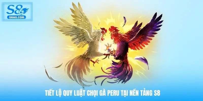 Tiết lộ quy luật chọi gà Peru tại nền tảng S8