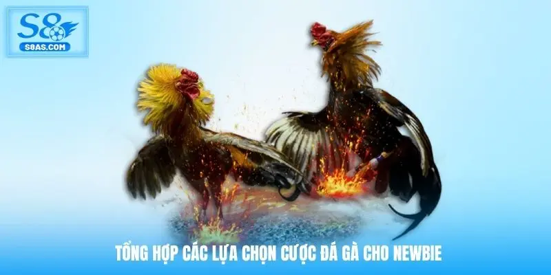 Tổng hợp các lựa chọn cược đá gà cho newbie